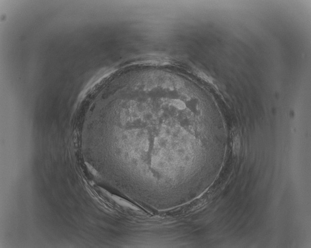 X0000084541448200703091641