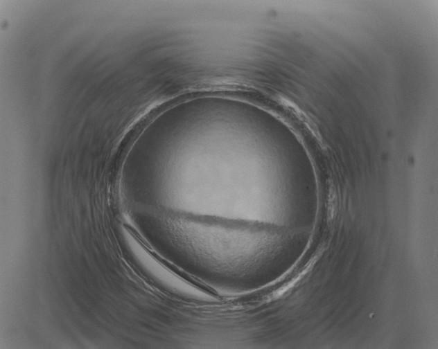 X0000084541449200703091641