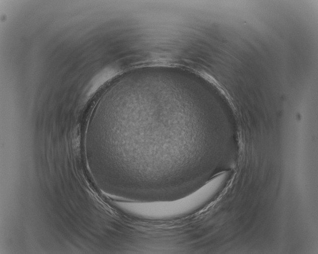 X0000084541450200703091641