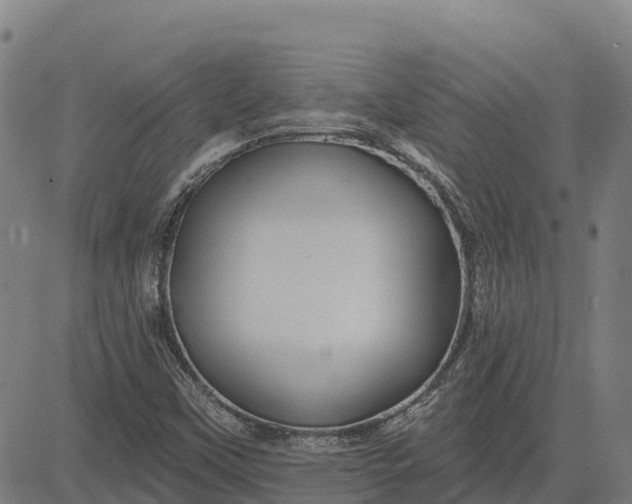 X0000084541451200703091641