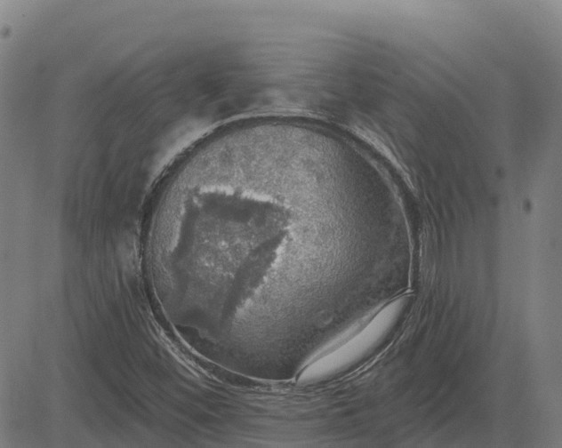 X0000084541452200703091641