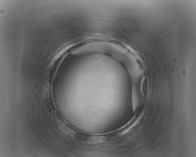 X0000084541453200703091641