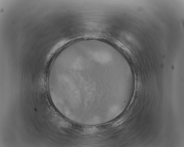 X0000084541454200703091641