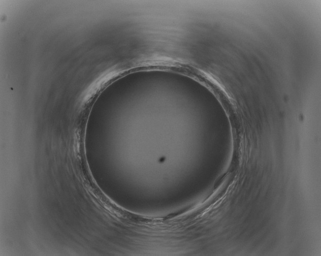 X0000084541455200703091641