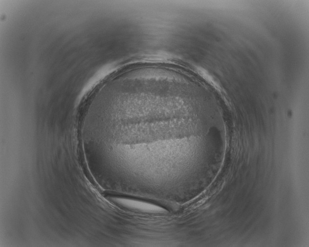 X0000084541456200703091641