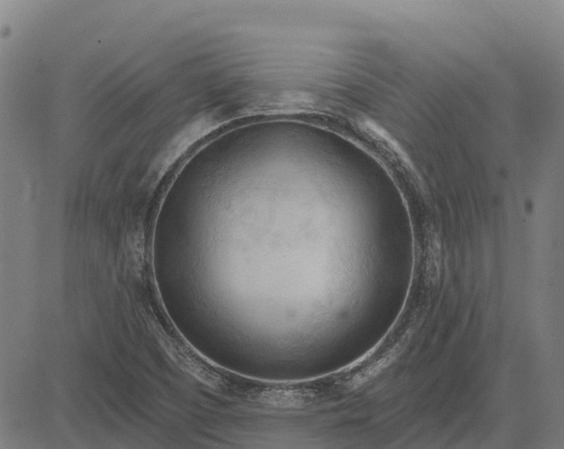 X0000084541457200703091641