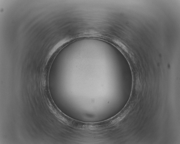 X0000084541458200703091641