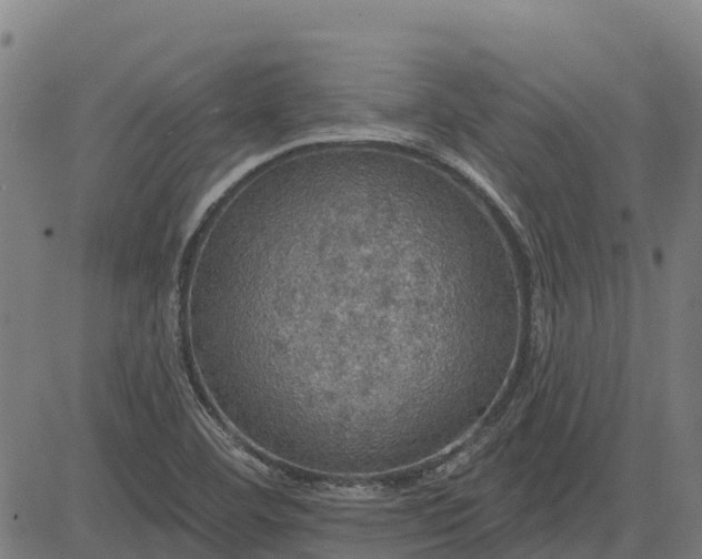 X0000084541460200703091641