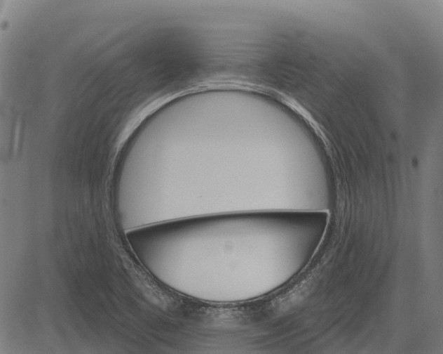 X0000084541461200703091641