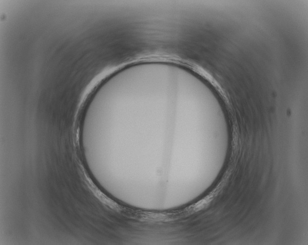 X0000084541462200703091641