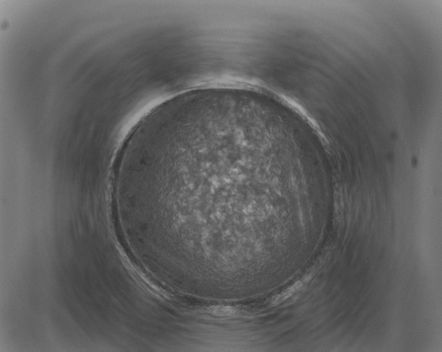 X0000084541463200703091641