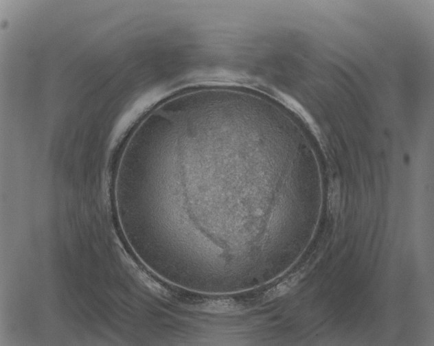 X0000084541464200703091641