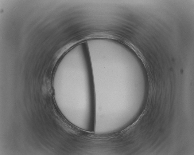 X0000084541465200703091641