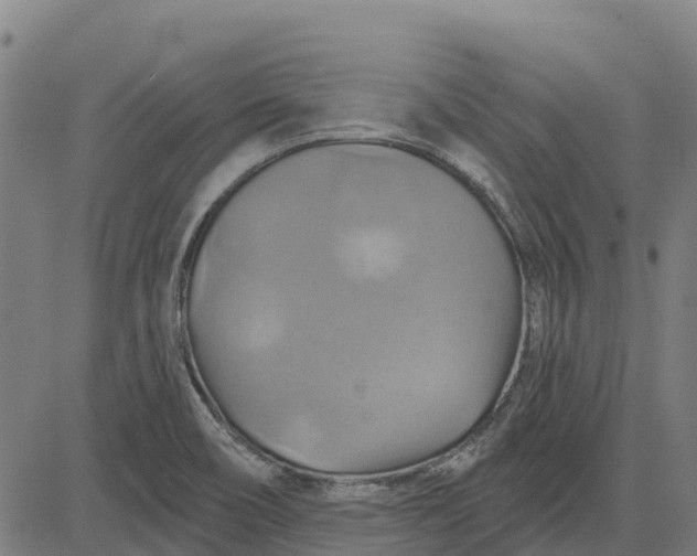 X0000084541466200703091641