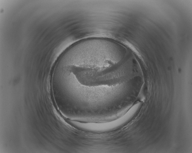 X0000084541468200703091641