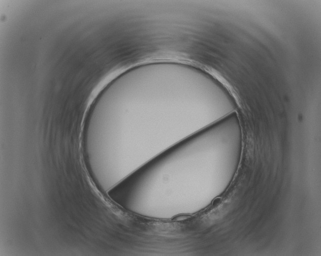 X0000084541469200703091641