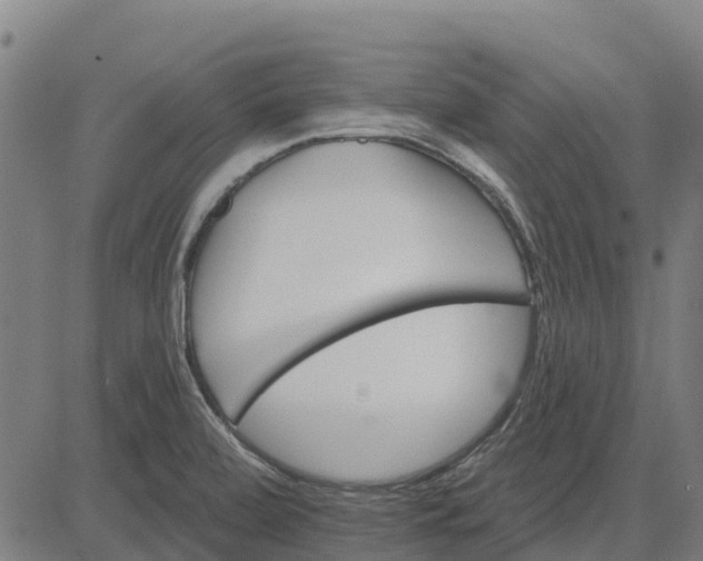 X0000084541472200703091641