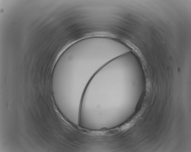 X0000084541473200703091641