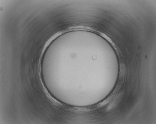 X0000084541474200703091641