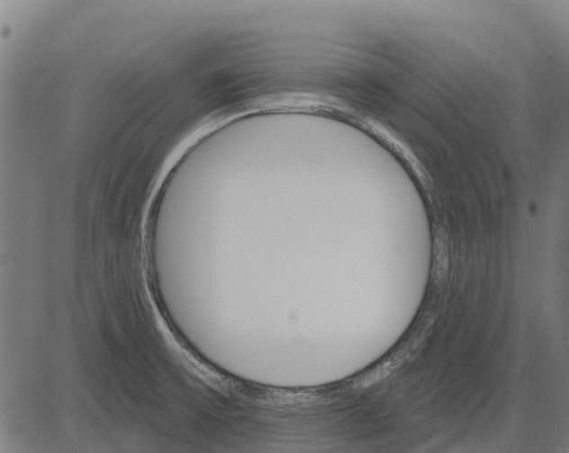 X0000084541475200703091641