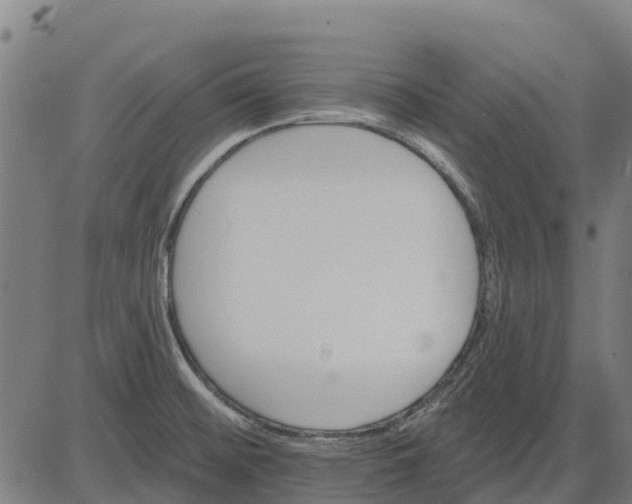 X0000084541476200703091641