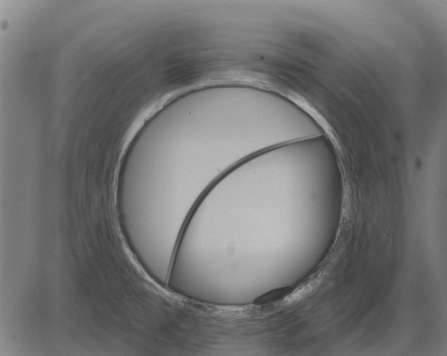 X0000084541477200703091641