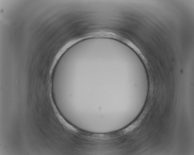 X0000084541478200703091641