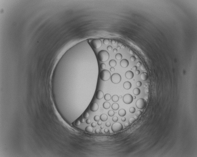 X0000084541479200703091641