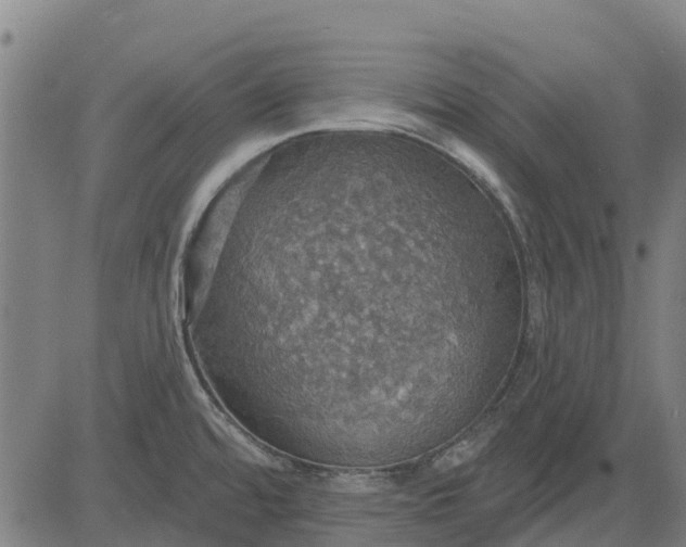 X0000084541480200703091641