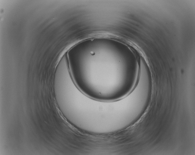 X0000084541481200703091641