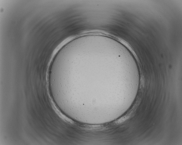 X0000084541482200703091641