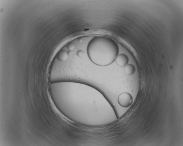 X0000084541483200703091641