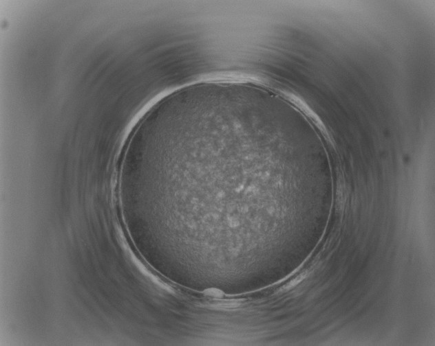 X0000084541484200703091641