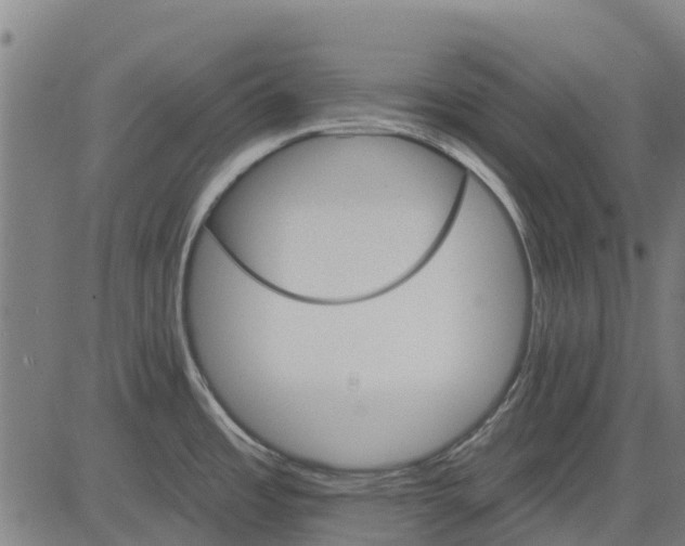 X0000084541485200703091641