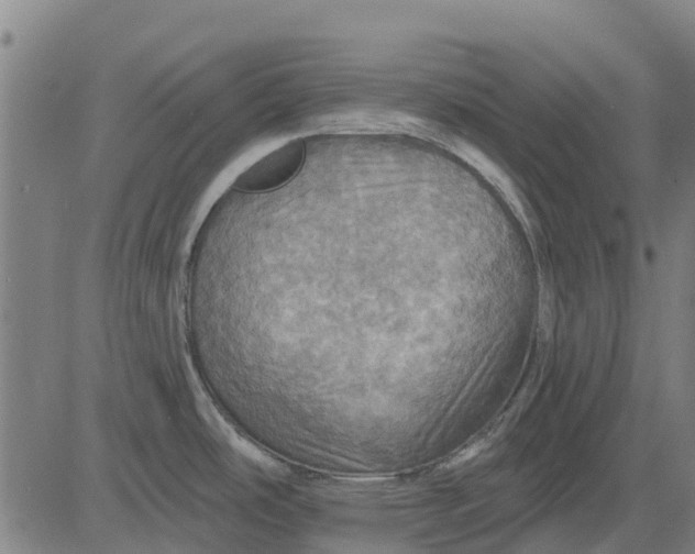 X0000084541486200703091641