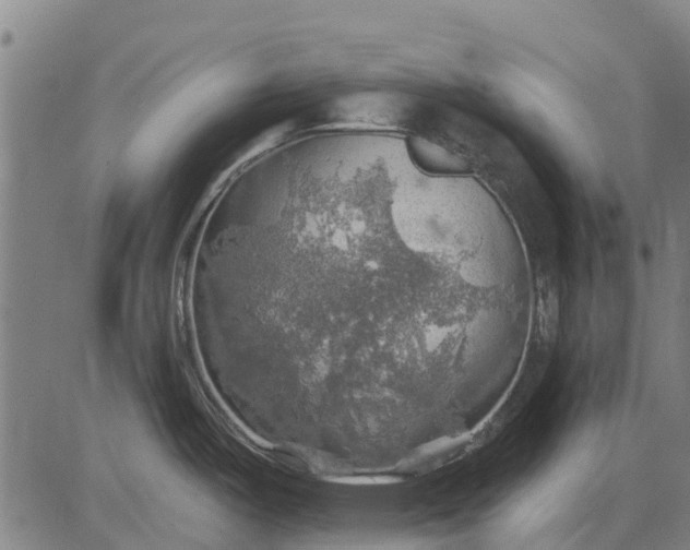 X0000084541487200703091641