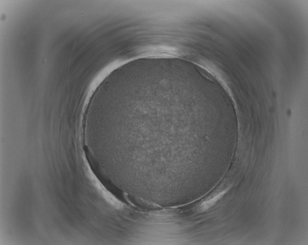 X0000084541488200703091641