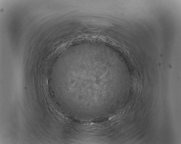 X0000084541489200703091640