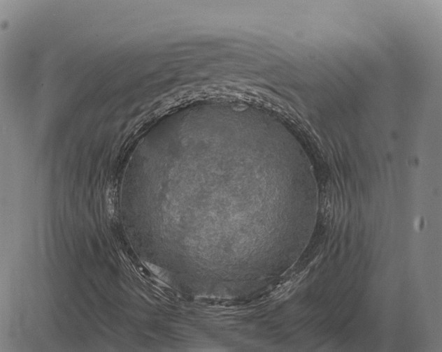 X0000084541490200703091640