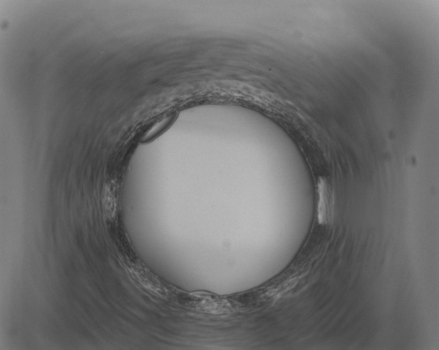 X0000084541491200703091640