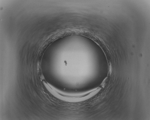 X0000084541492200703091640