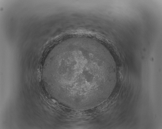 X0000084541493200703091640