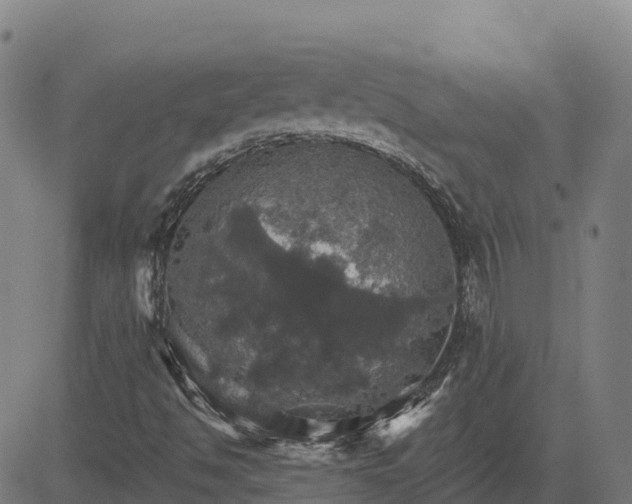 X0000084541494200703091640