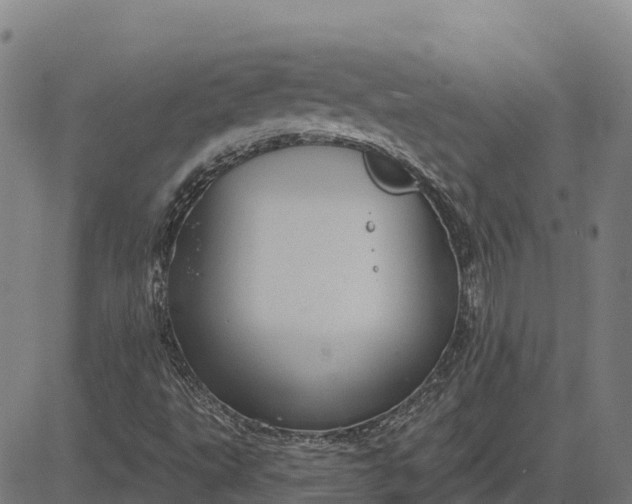 X0000084541495200703091640