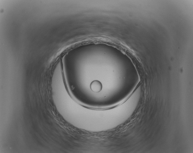 X0000084541496200703091640