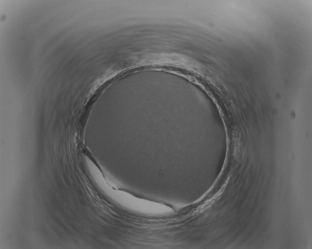 X0000084541497200703091640