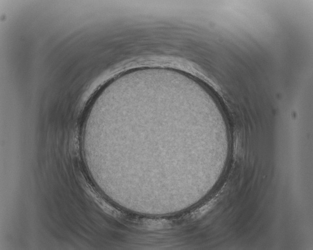 X0000084541498200703091640