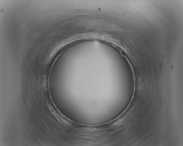 X0000084541499200703091640