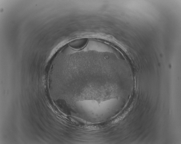 X0000084541501200703091640