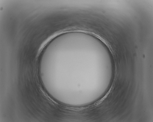 X0000084541502200703091640